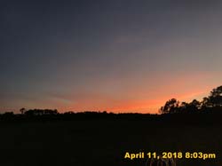 IMG_4852