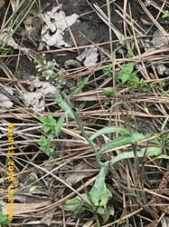 IMG_4903