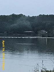 IMG_5198
