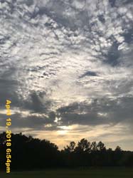 IMG_5232