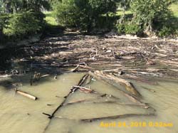 IMG_5395