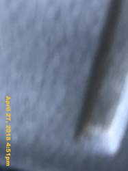 IMG_5535