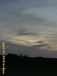 IMG_5545