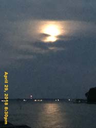 IMG_5598