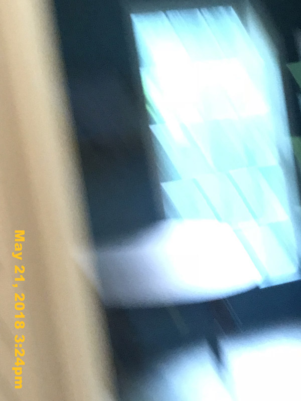 IMG_6329