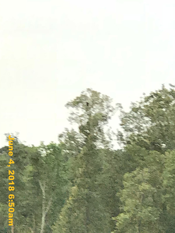 IMG_7046