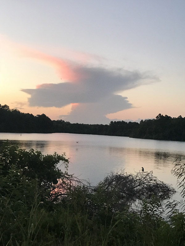 IMG_7519