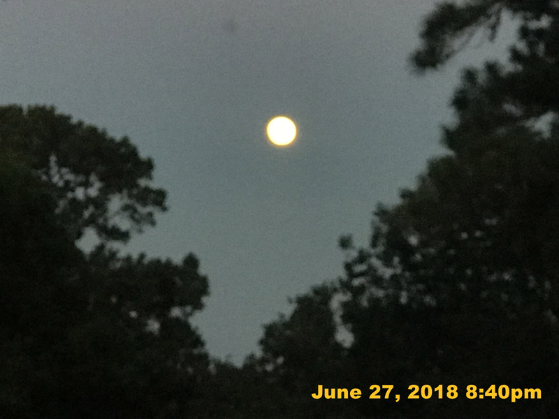 IMG_8101