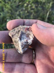 IMG_7082