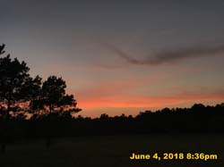 IMG_7087