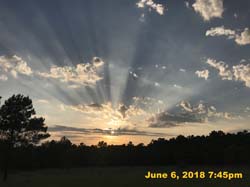 IMG_7123
