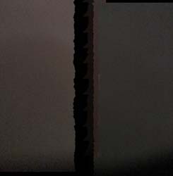 IMG_7897