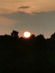 IMG_7918