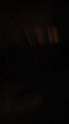 IMG_7925