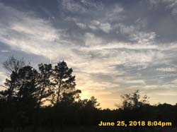 IMG_8031