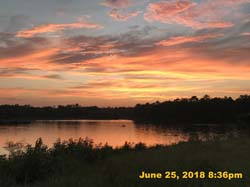 IMG_8036