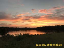 IMG_8037
