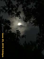 IMG_8043