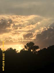 IMG_8072