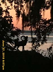 IMG_8103