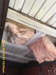 IMG_8120