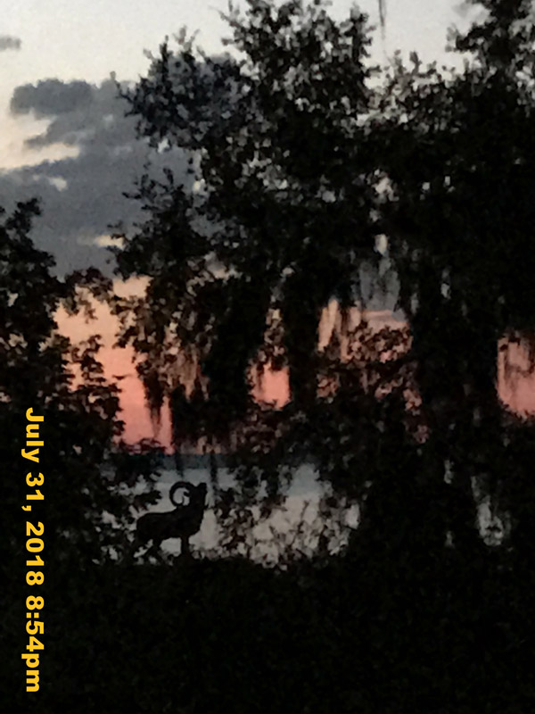 IMG_9517