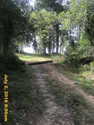 IMG_8278