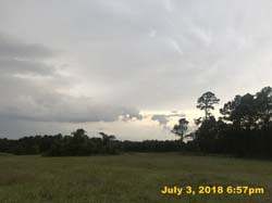 IMG_8350