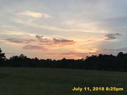 IMG_8764