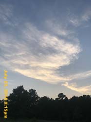 IMG_9138