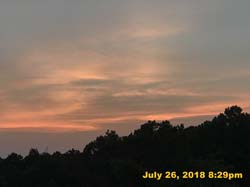 IMG_9250
