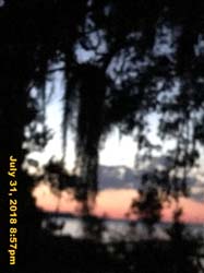 IMG_9518