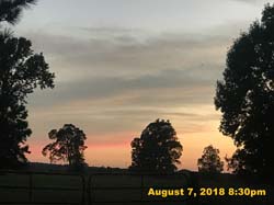 IMG_9953