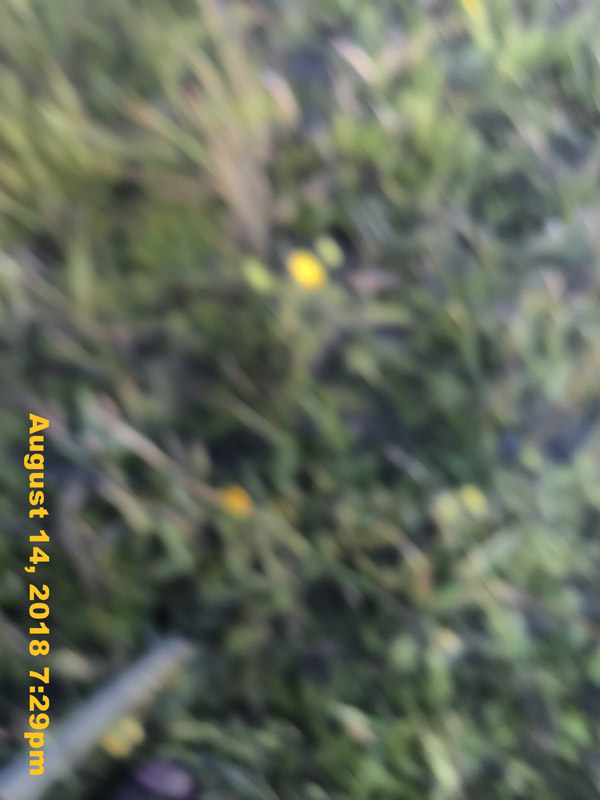 IMG_0342