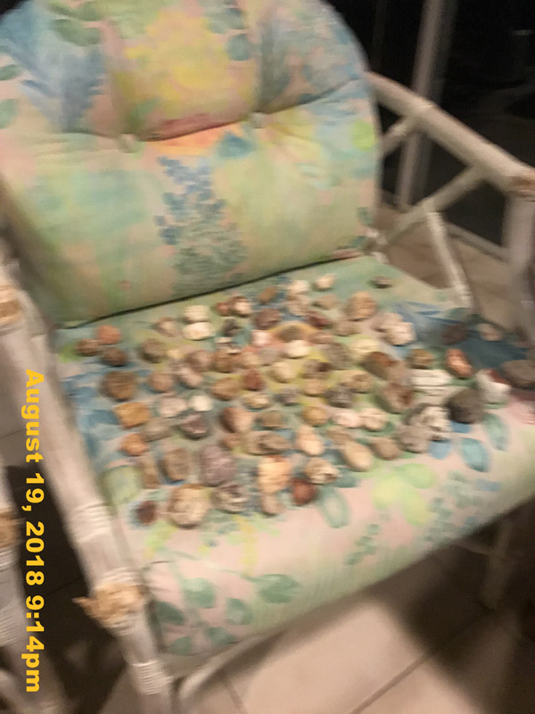 IMG_0591