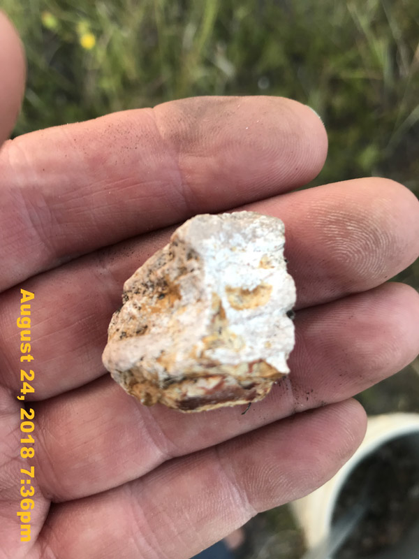 IMG_0919
