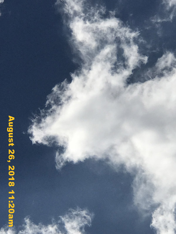 IMG_0994