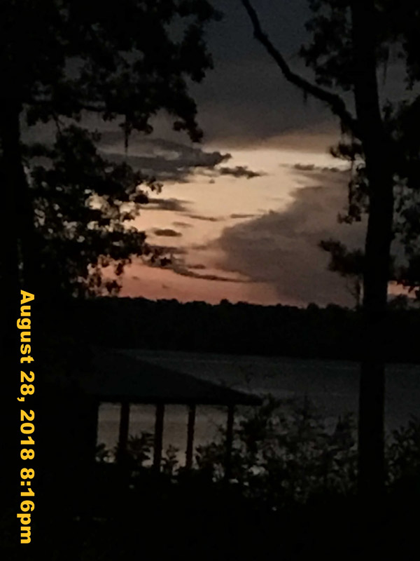 IMG_1124