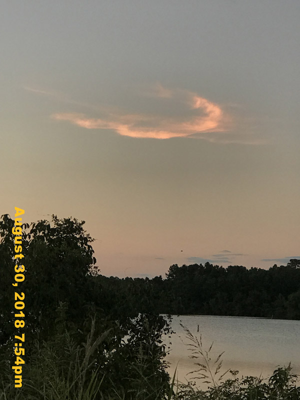 IMG_1227
