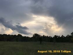 IMG_0156