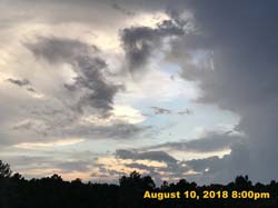 IMG_0174