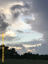 IMG_0178