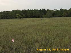 IMG_0279