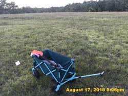IMG_0445