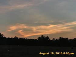IMG_0509
