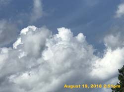 IMG_0555