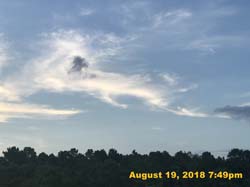 IMG_0584