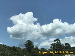 IMG_0630