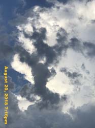 IMG_0667