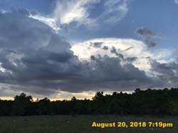 IMG_0675